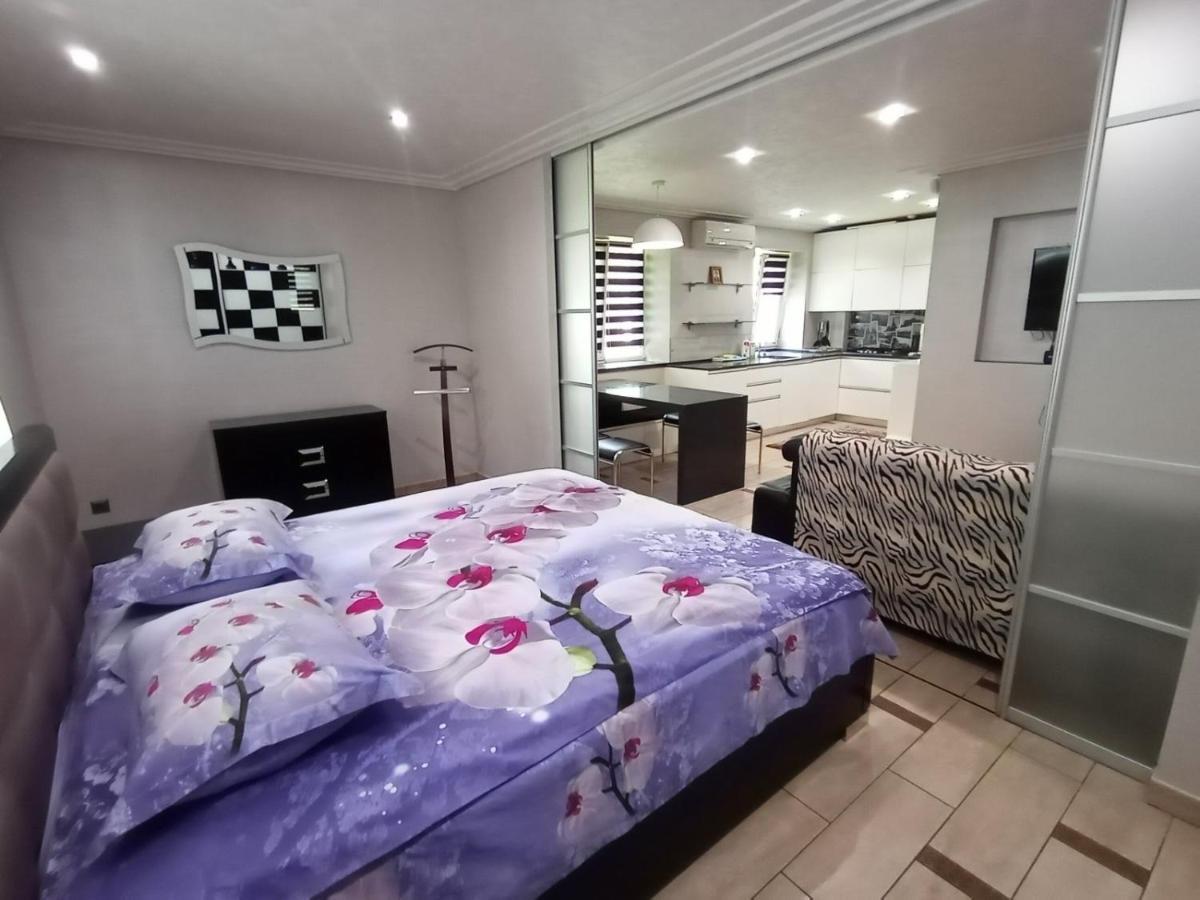Apartment At Kvitka Polonyny 솔로친 외부 사진